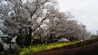 130324_1416~010001.jpg